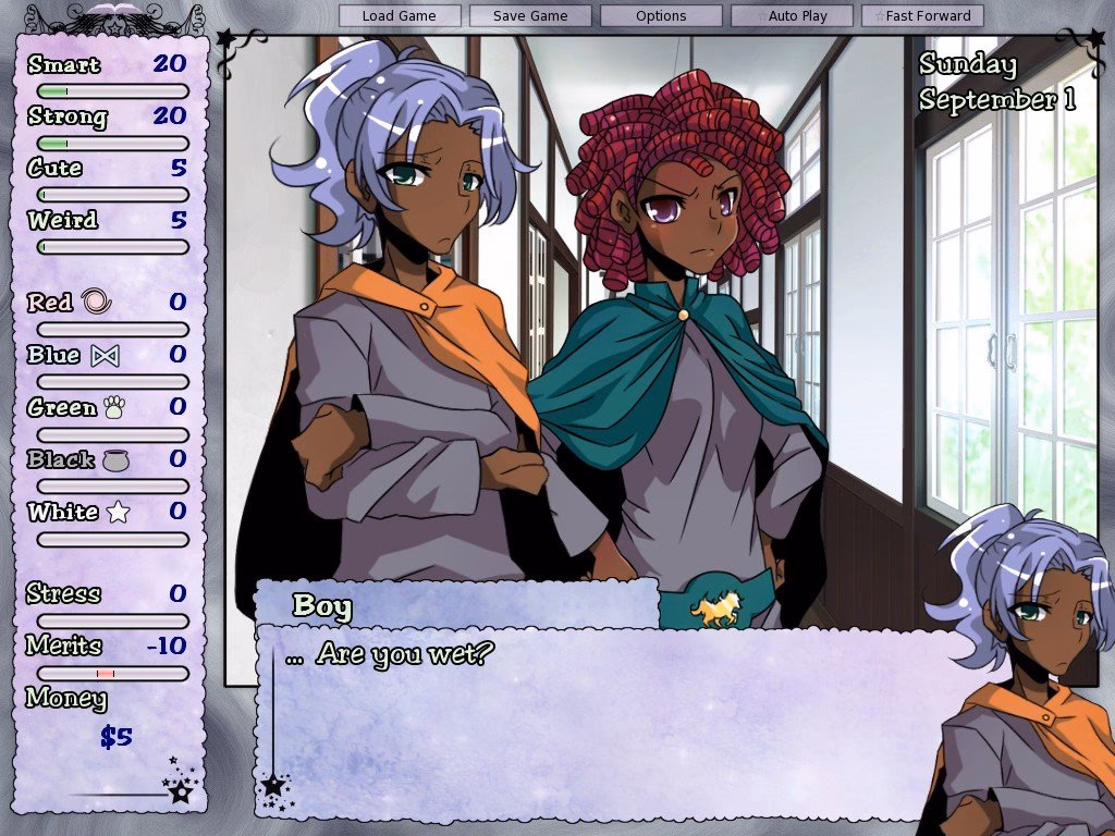What is the VNS system?