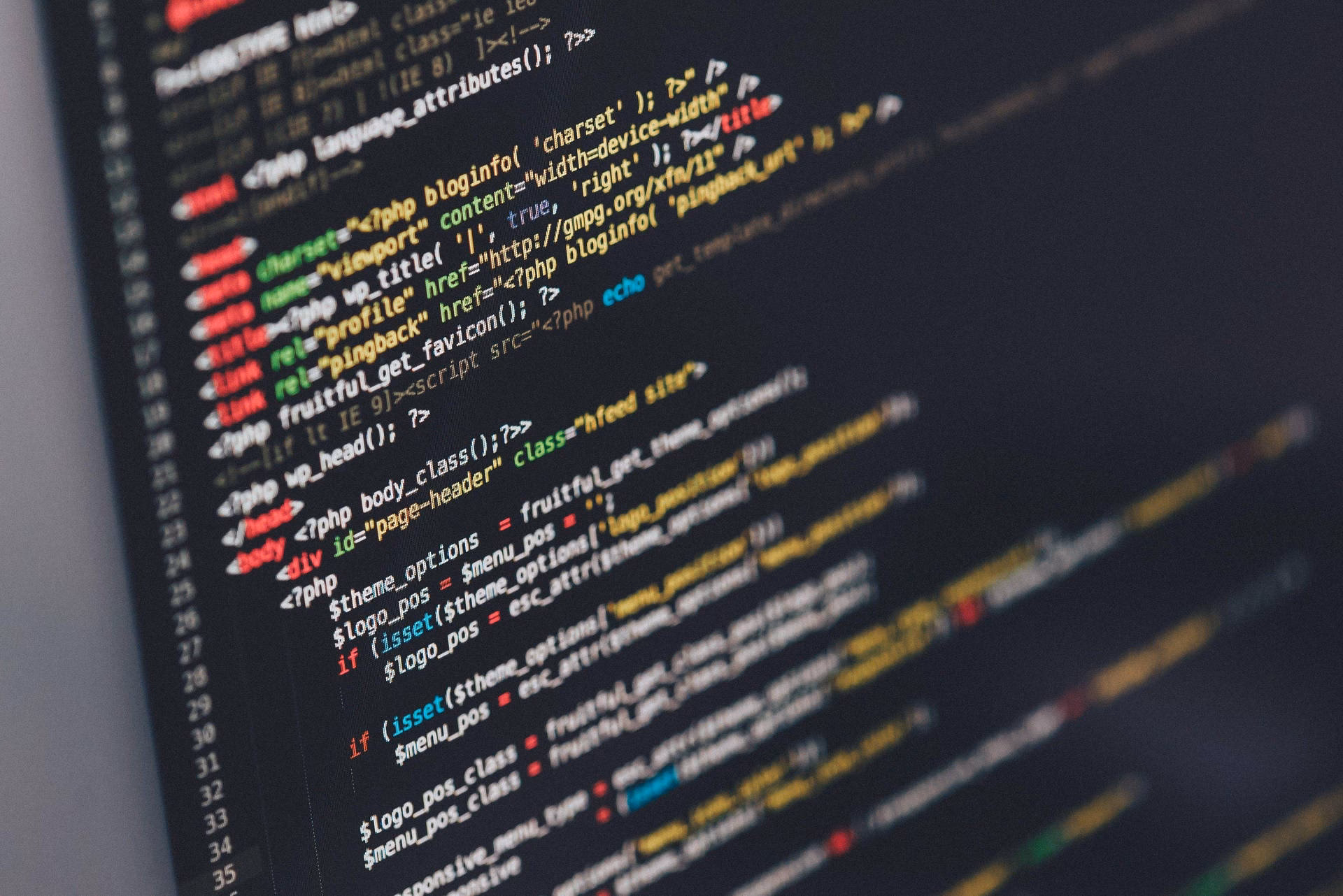Why should you choose script wallpapers?