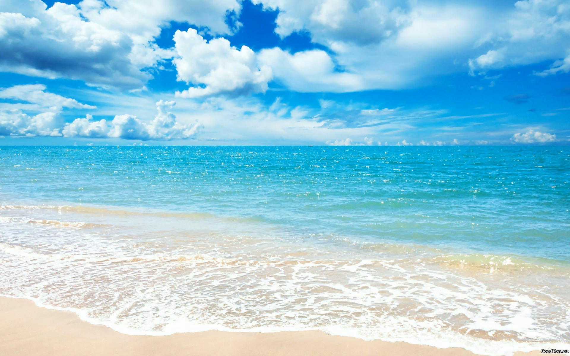 What devices are compatible with our seasonal / summer wallpapers?
