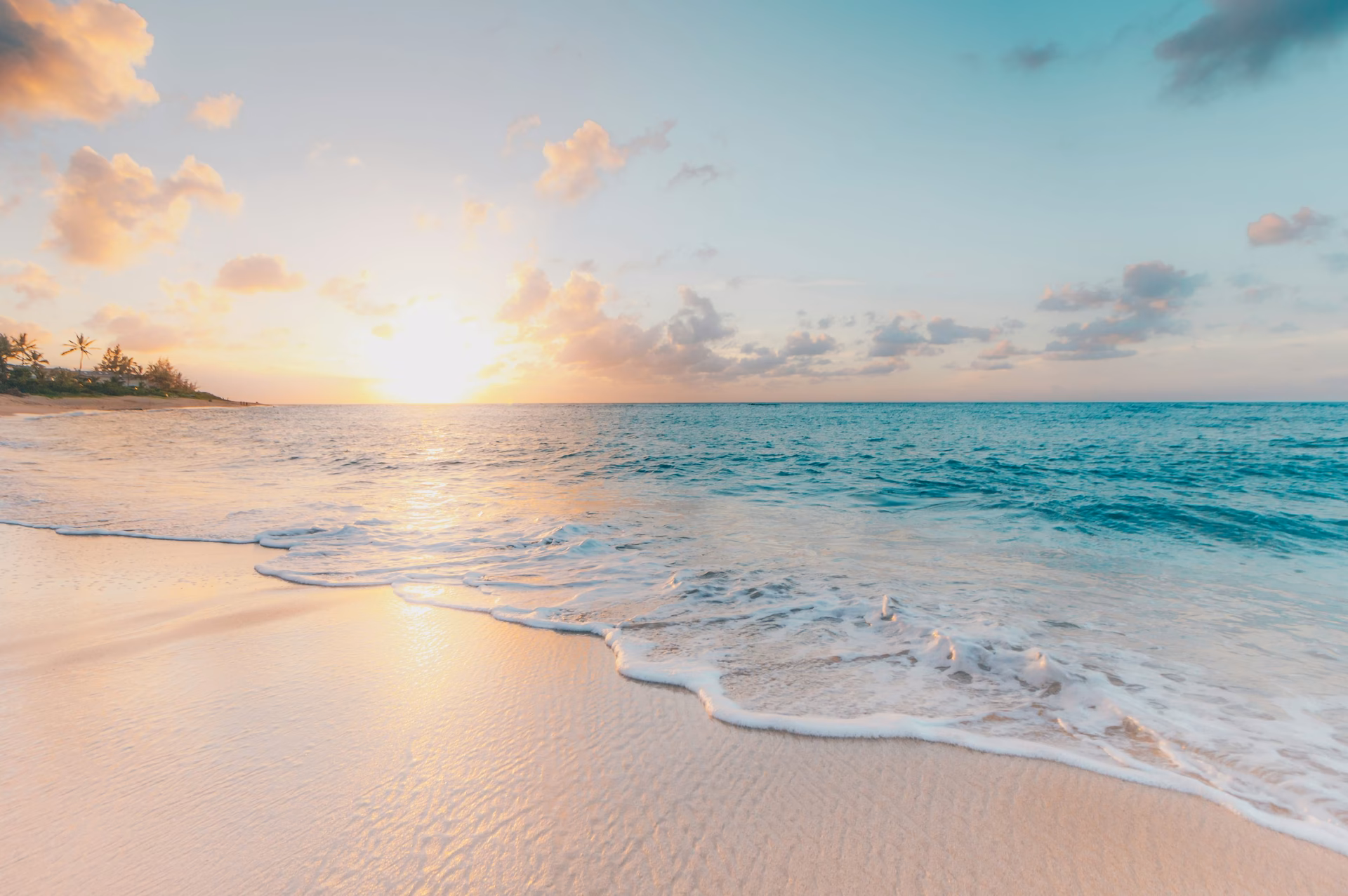How many 4K summer wallpapers are there?