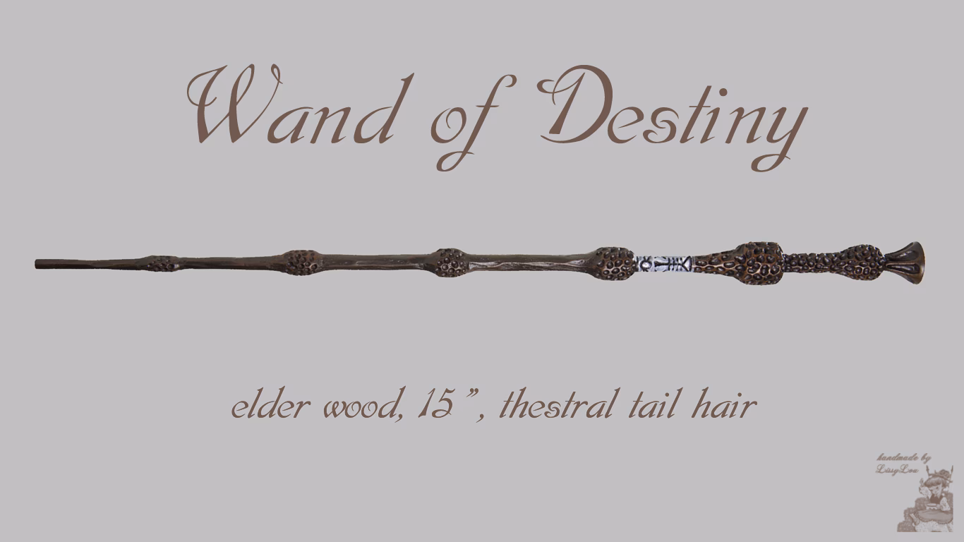 Who is the current owner of the Elder Wand?