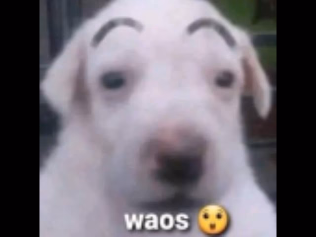 ¿Qué ofrece la plataforma de Wahoo?