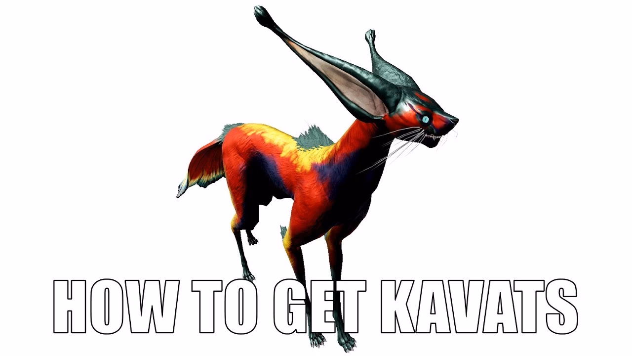 Where can I buy a Kavat incubator upgrade segment?
