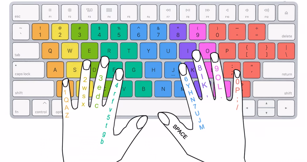 What is WASD?