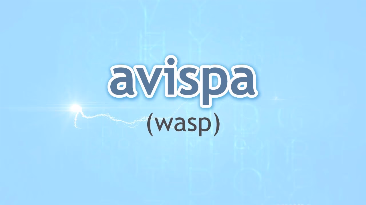 What is the meaning of wasp in English?