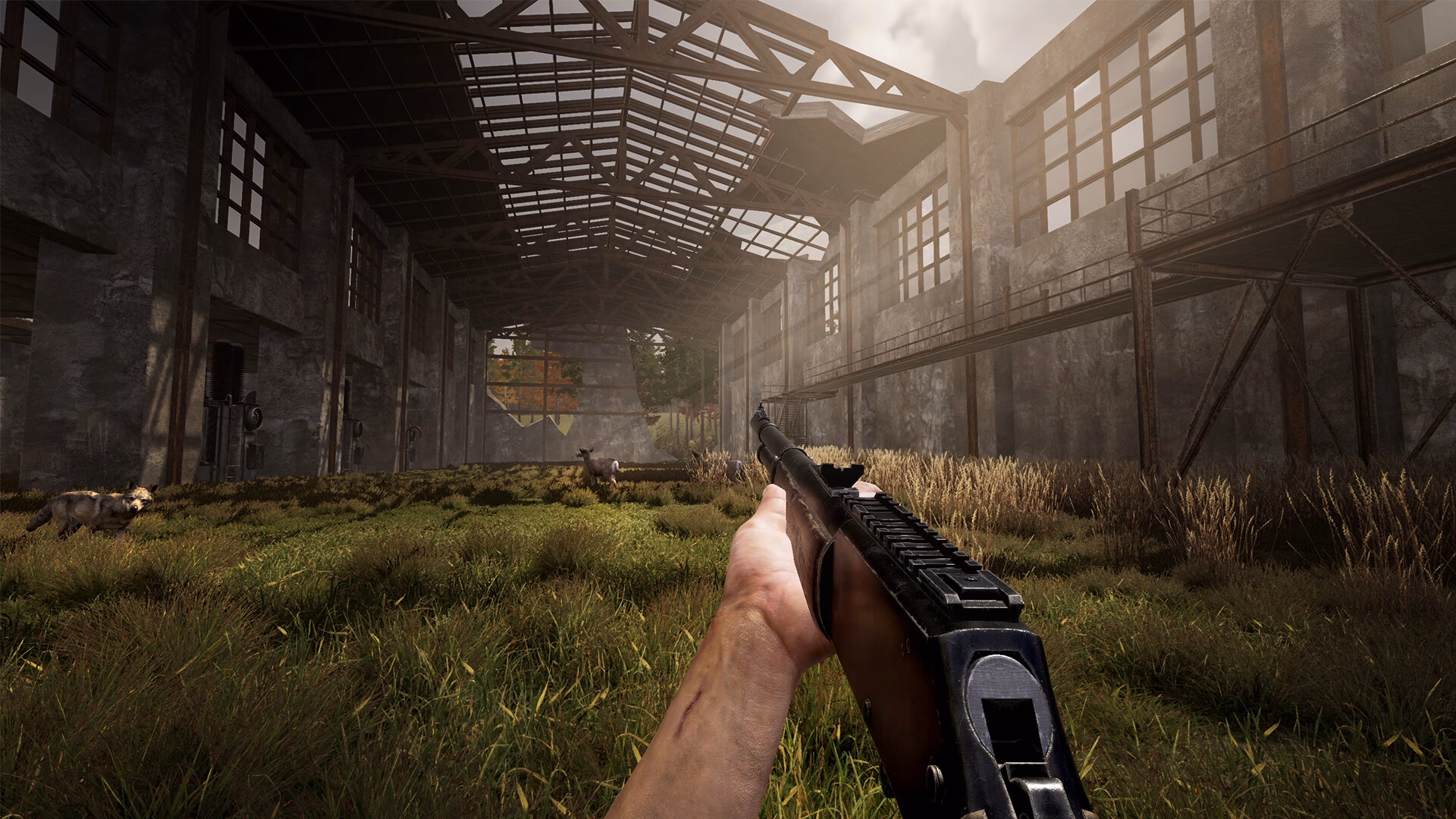 Is 'We harvest Shadows' a co-op game?