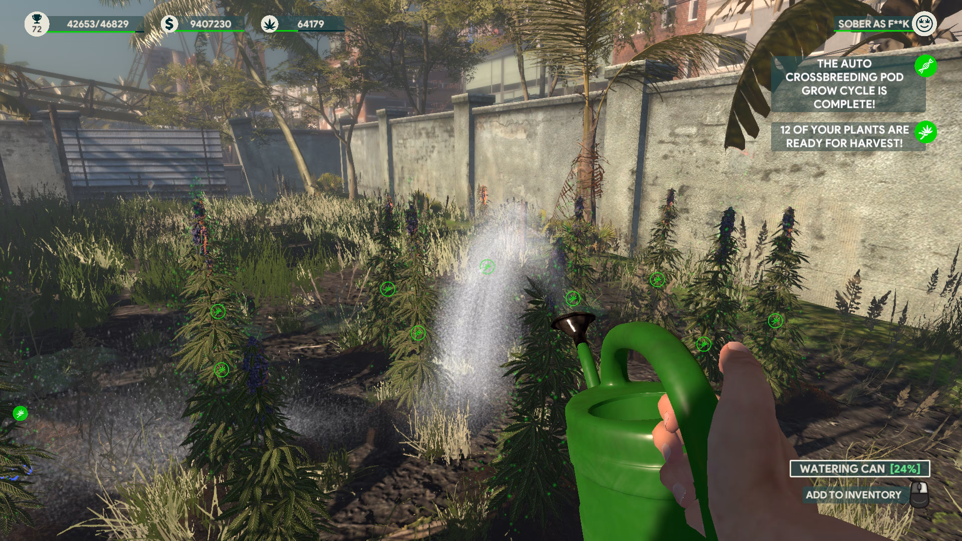 Is cannabis farmer strain master a good game?