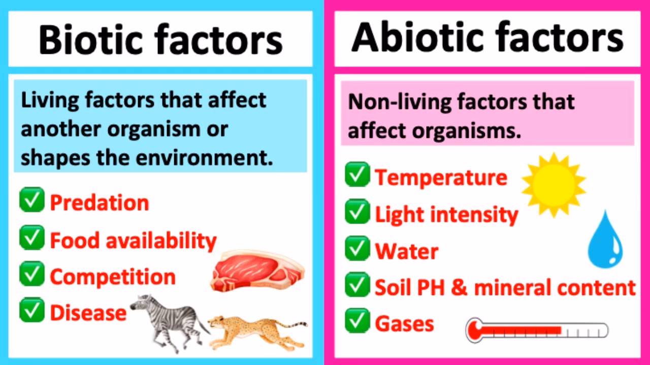 Why is temperature an abiotic factor?