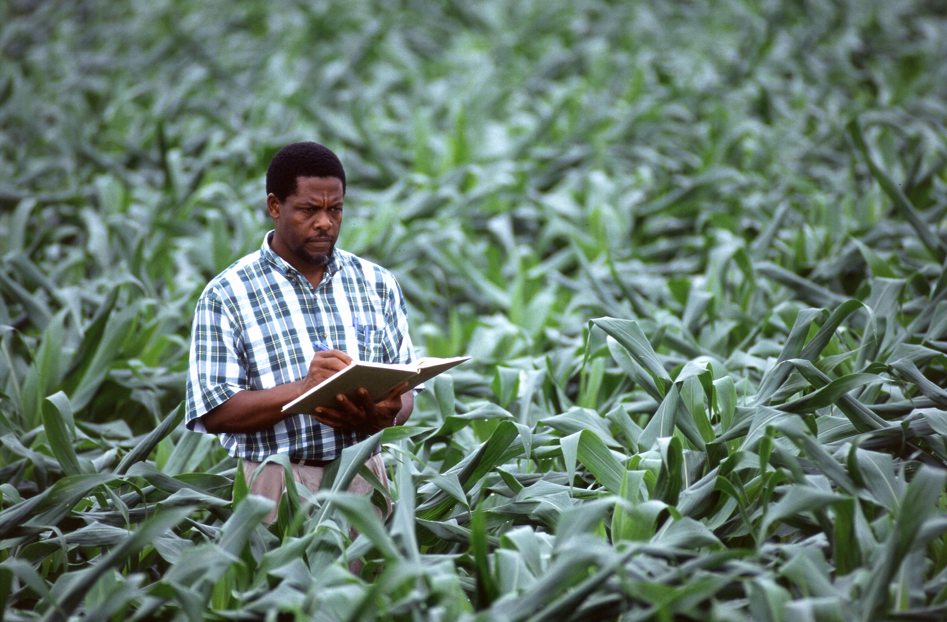 What is the difference between farmer and agriculturist?
