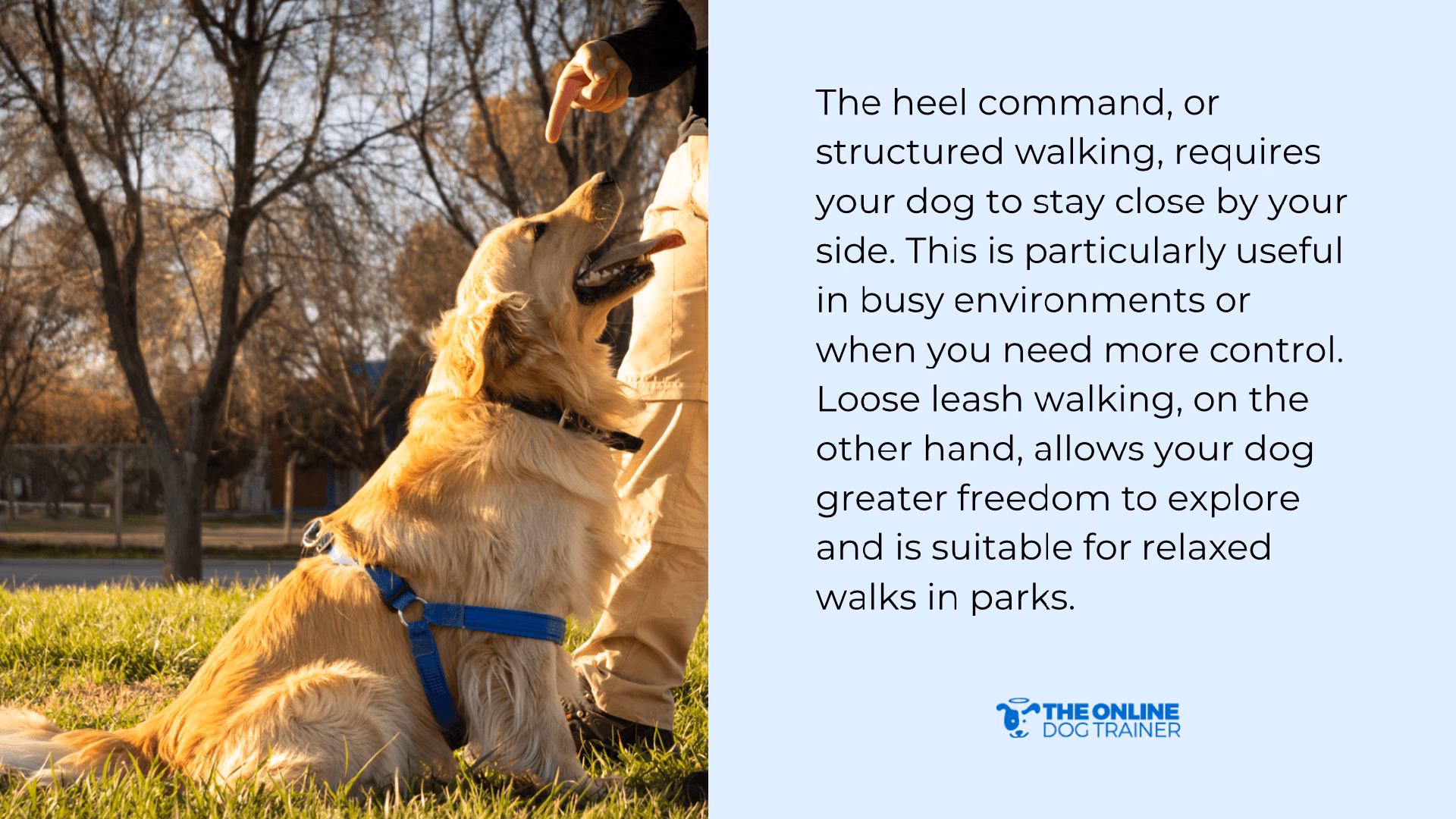 What does heeling mean?