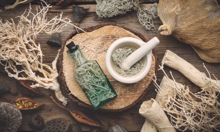 What is an apothecary chemist?