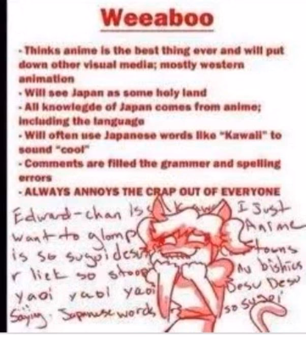 What is the difference between otaku and WIBU?