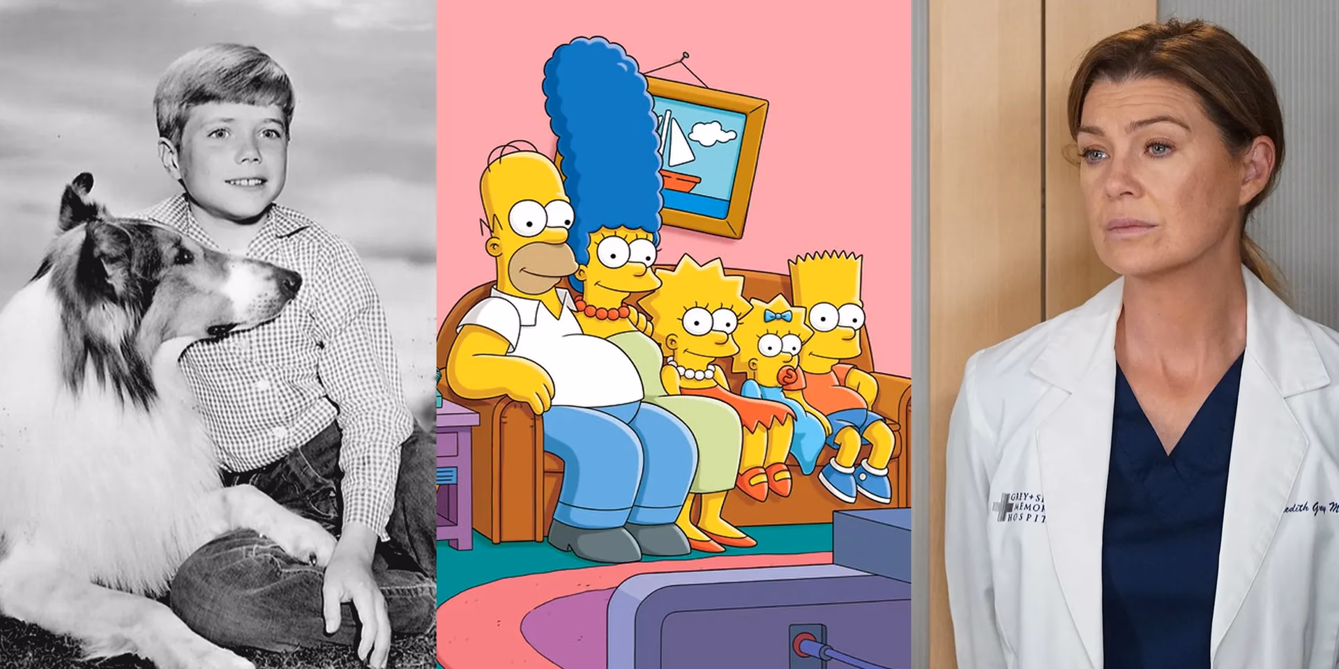 Which sitcom has the longest run?