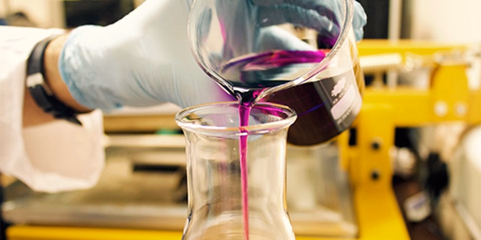 What can you do with a science major?