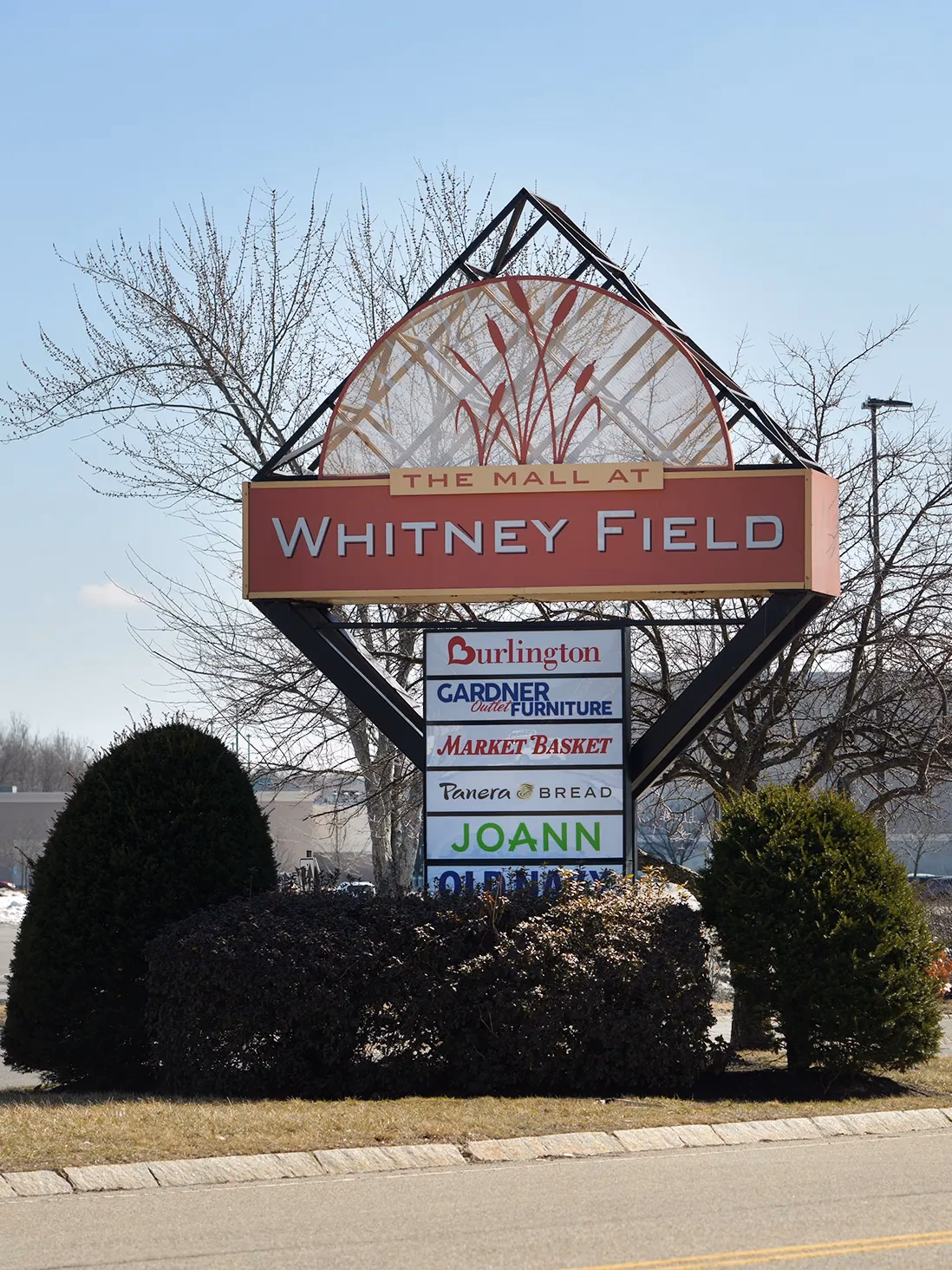Where is Whitney Field in Meagher Valley?