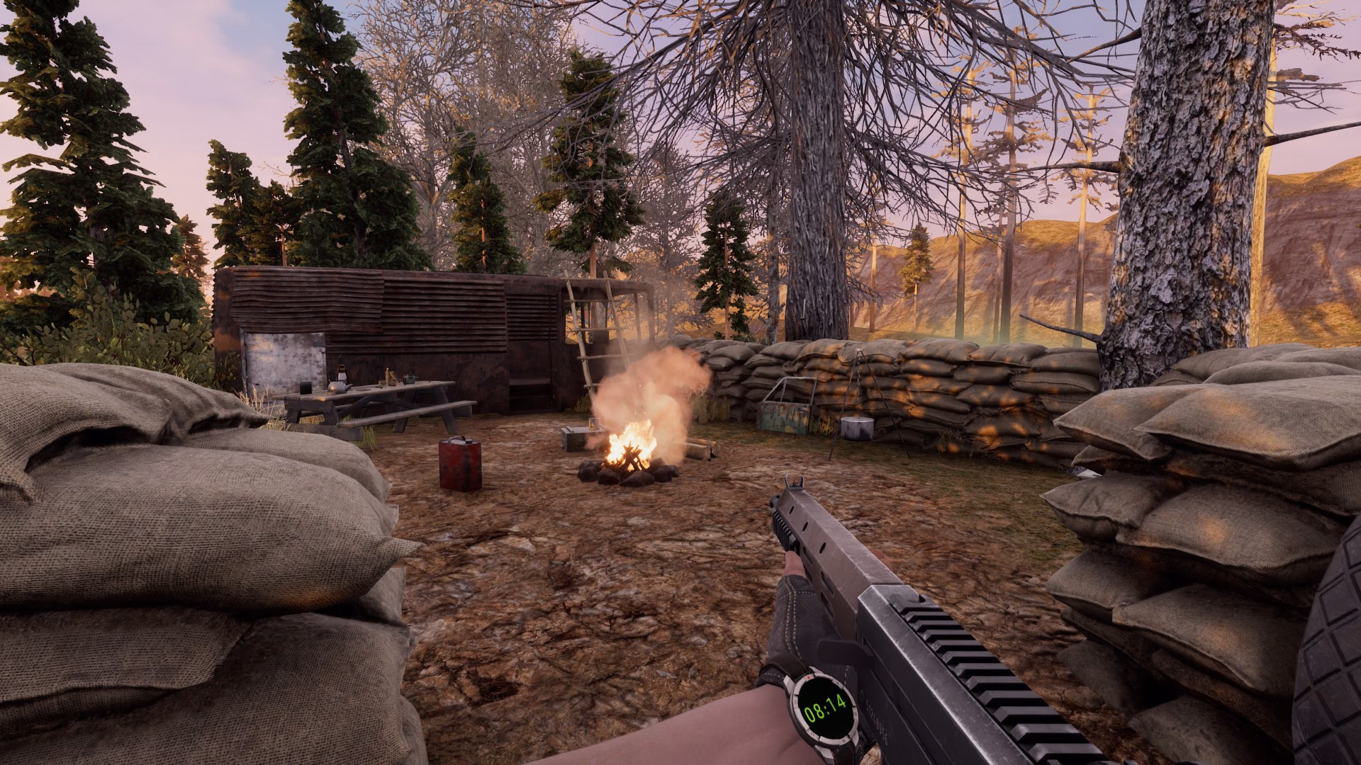 Is will to live a first-person MMORPG?