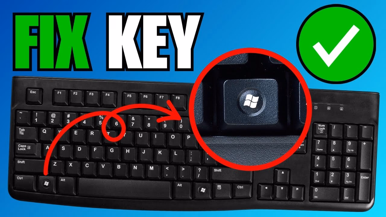Why is my Windows key not working?