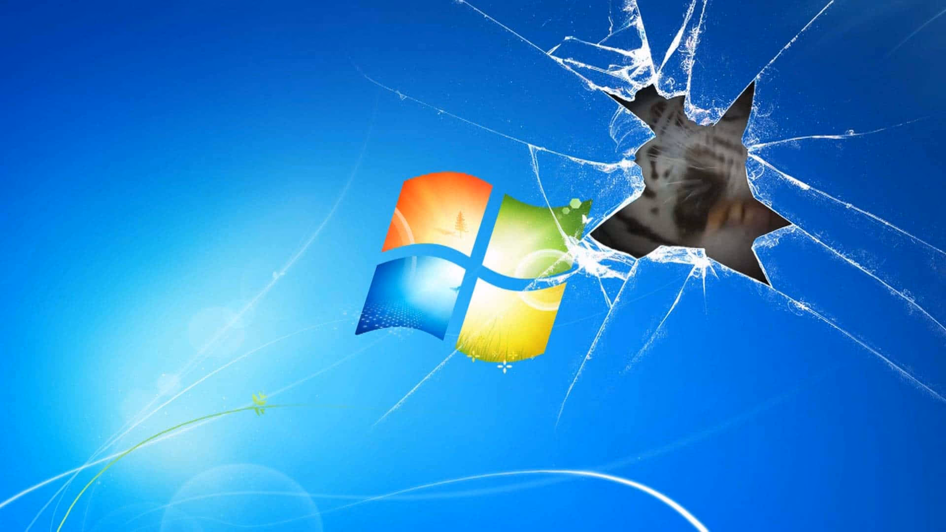 How many 4K Ultra HD Windows wallpapers are there?