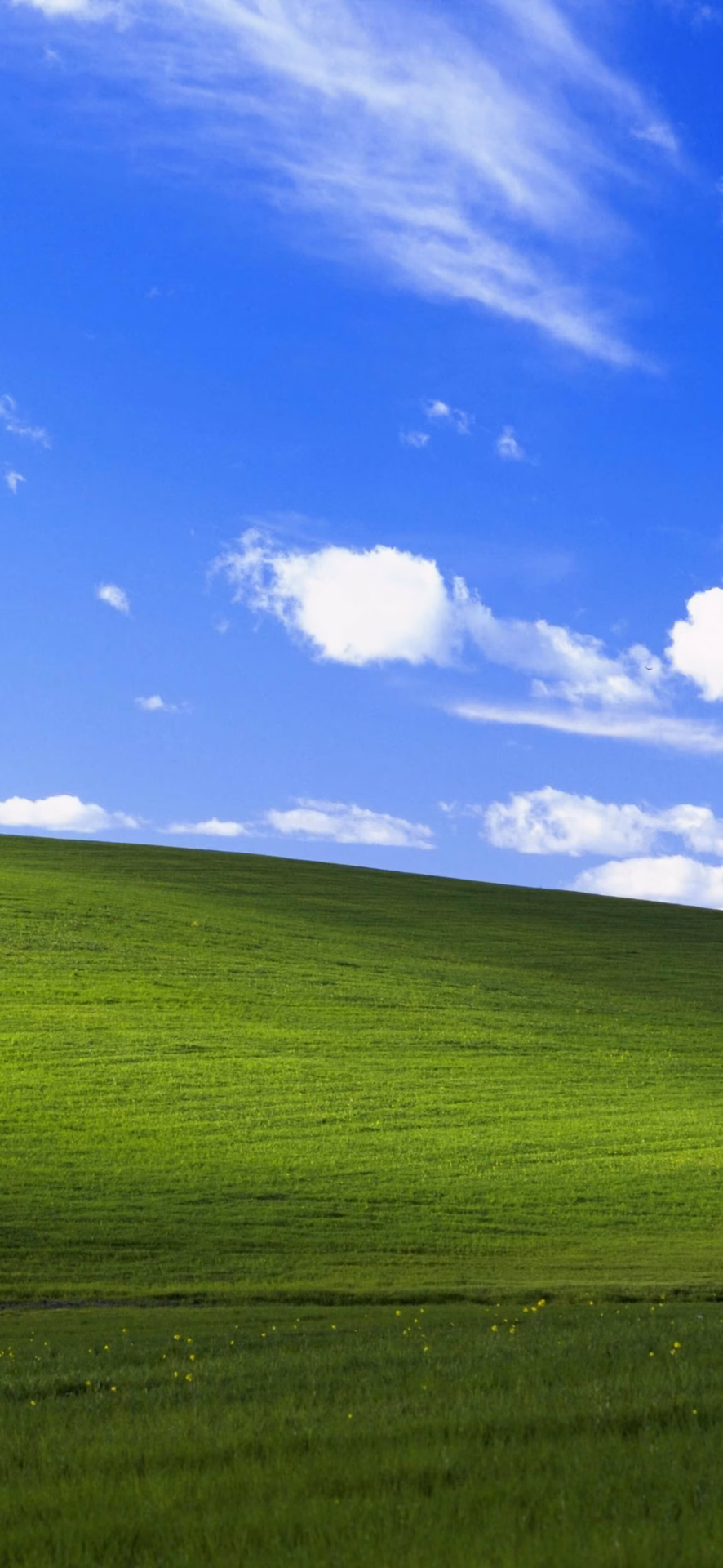 What are Windows XP and 7 default wallpapers?