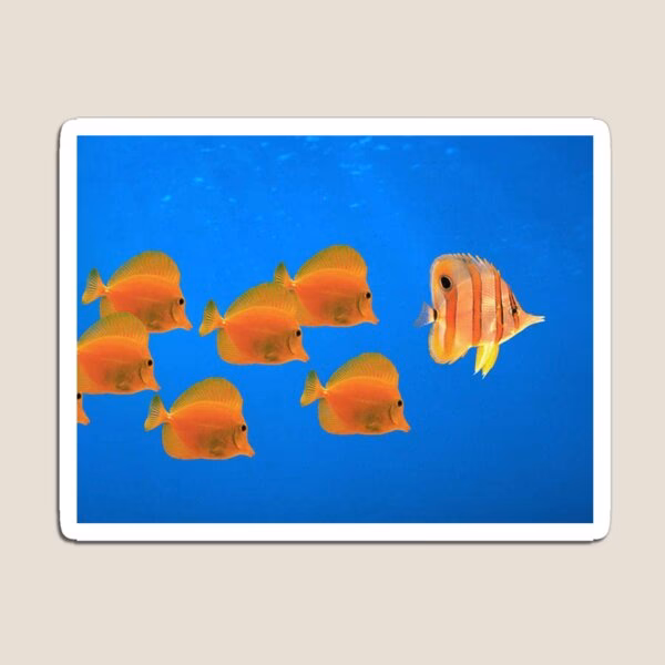 Is there a beta fish wallpaper for Windows 8?