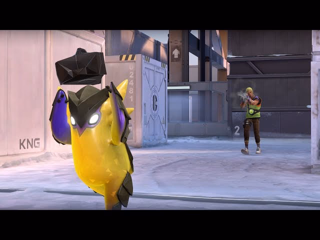 Can Gekko plant wingman?