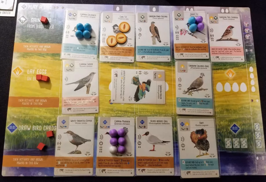 What's new in wingspan?