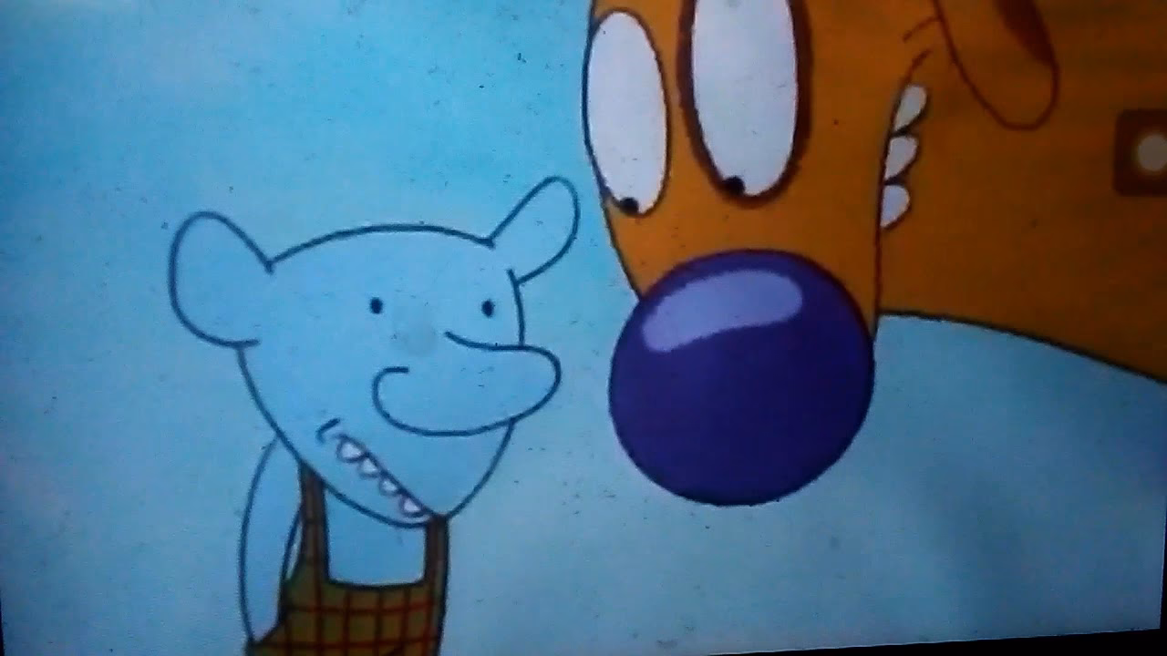 What does Winslow look like in CatDog?