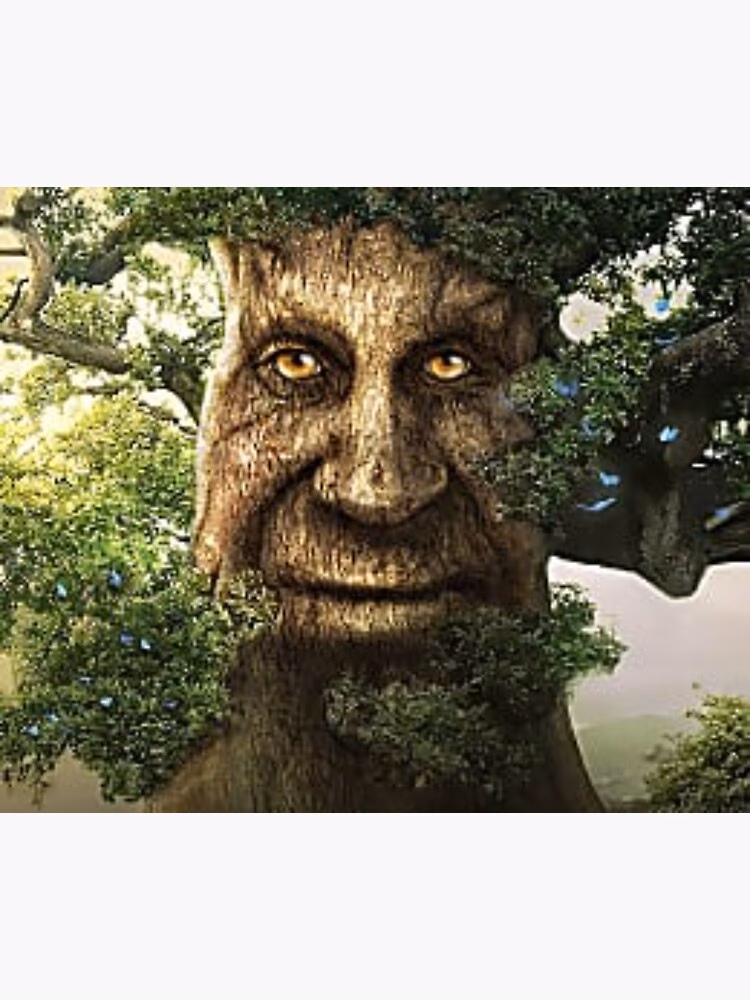 Who is WisdomTree?