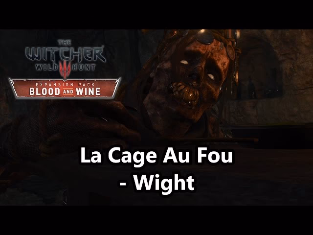 What happens in La Cage Au Fou?