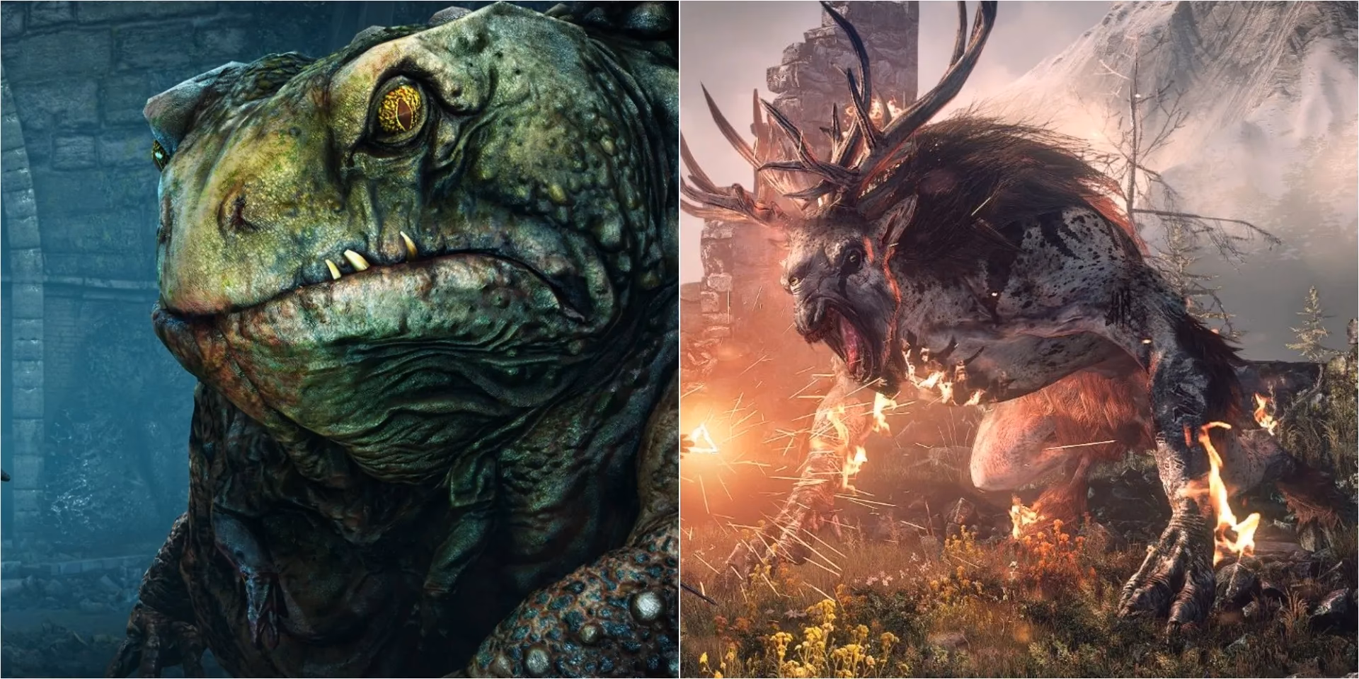 Who is the hardest enemy in Witcher 3?