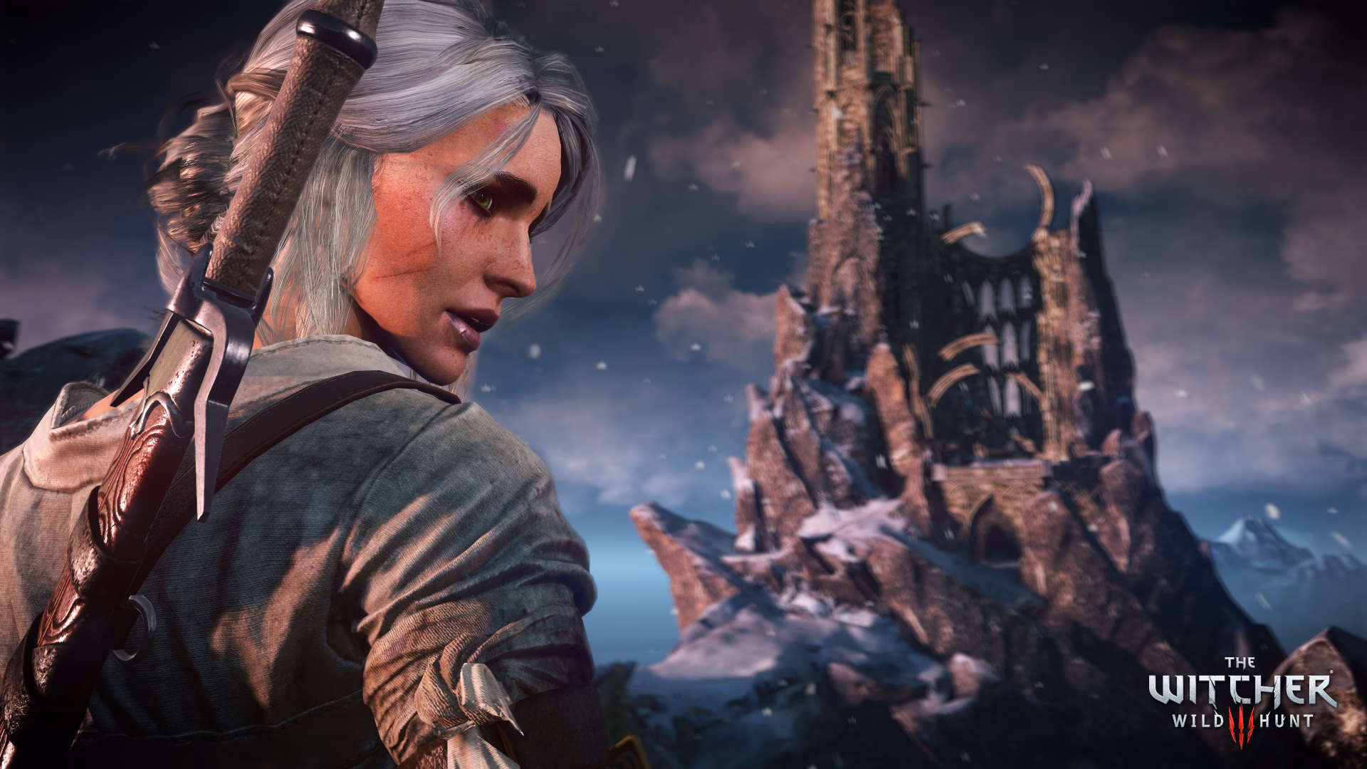 Does steam offer discounts for The Witcher 3 Wild Hunt?