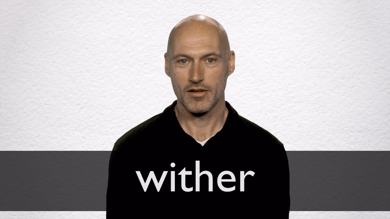 ¿Cómo se puede vencer al Wither?
