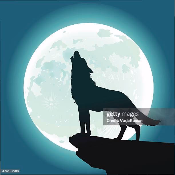 Do wolves howl at night?