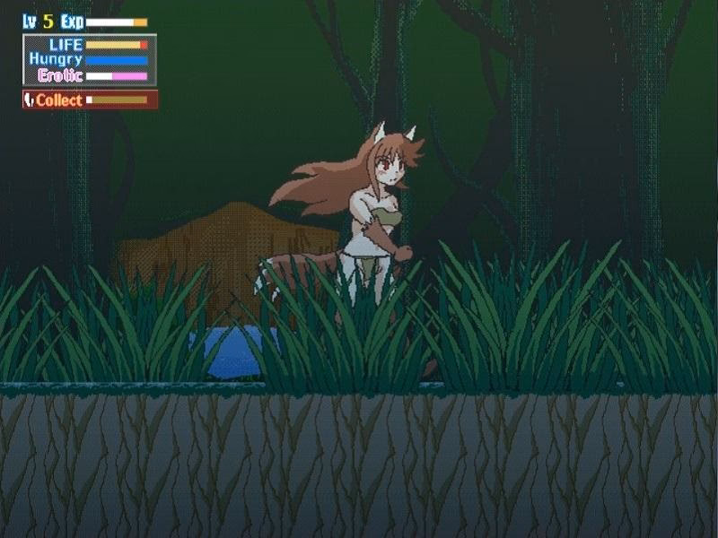 What is Wolf's Dungeon?