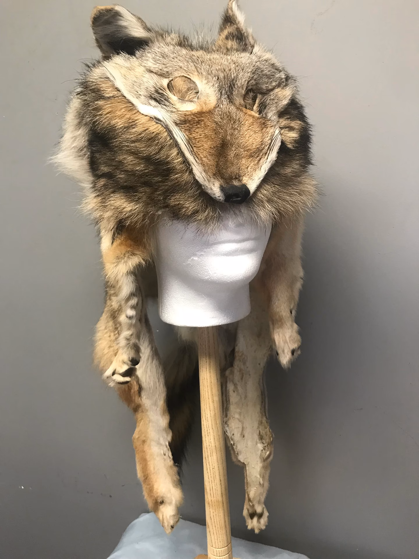 How do you get a wolf fur cape?