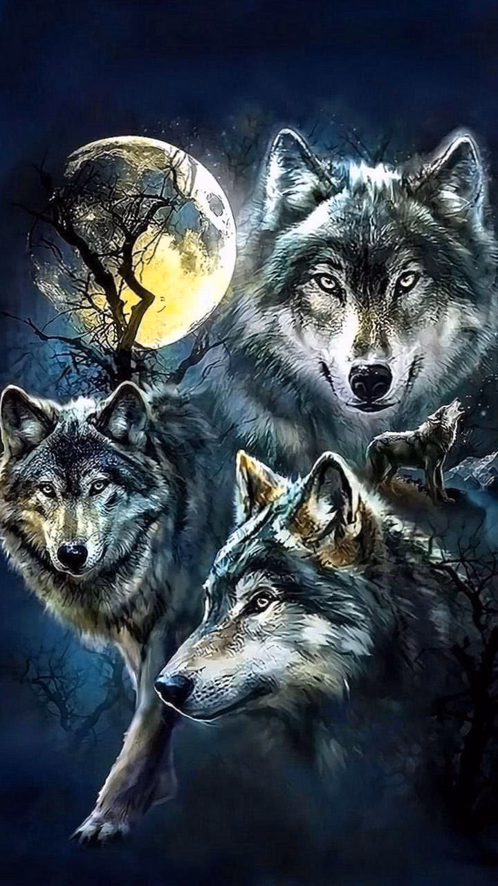How many high resolution Wolf wallpapers are there?
