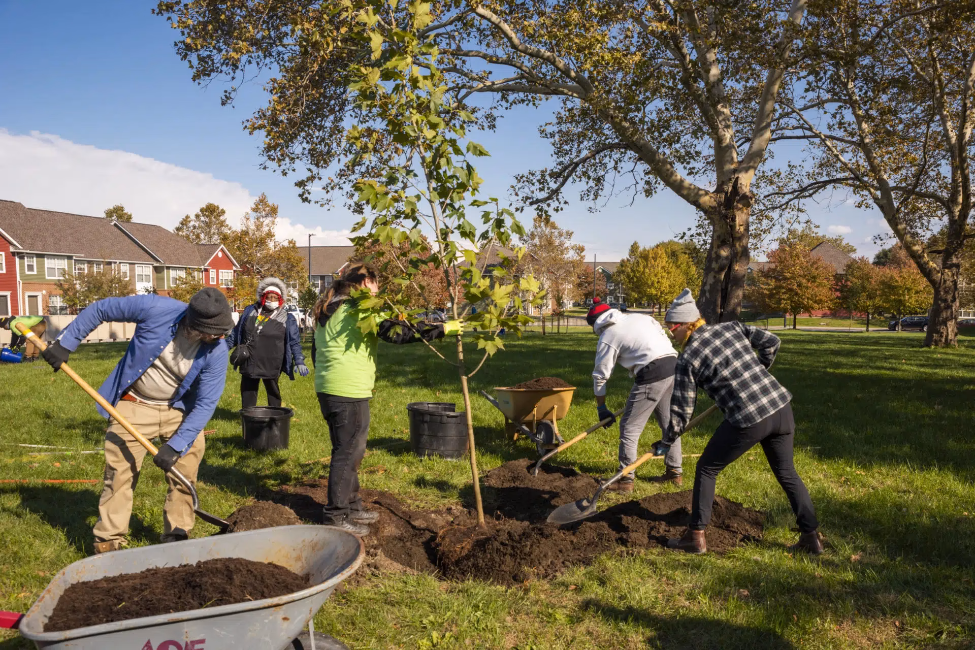 How can my company get involved with tree planting?