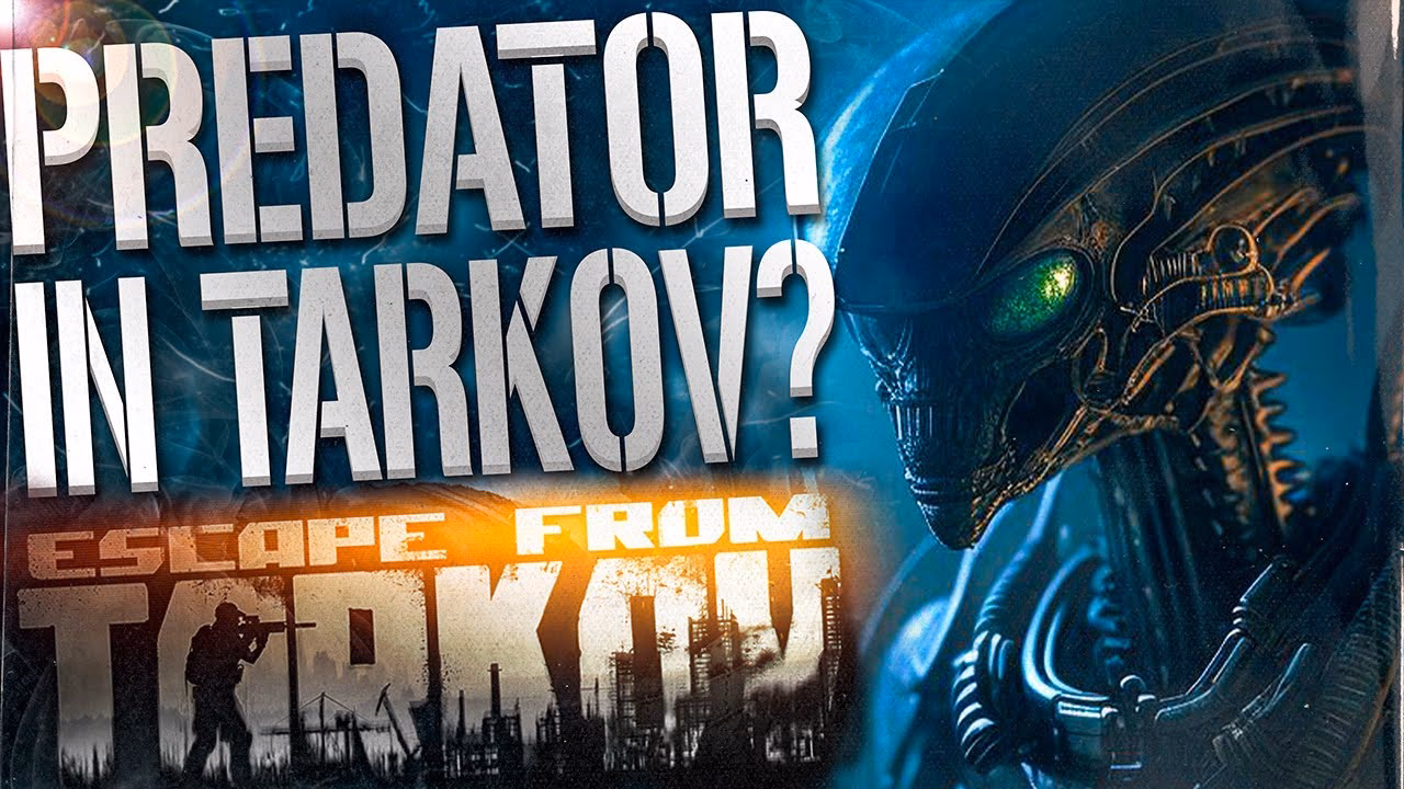What is Xenomorph foam?