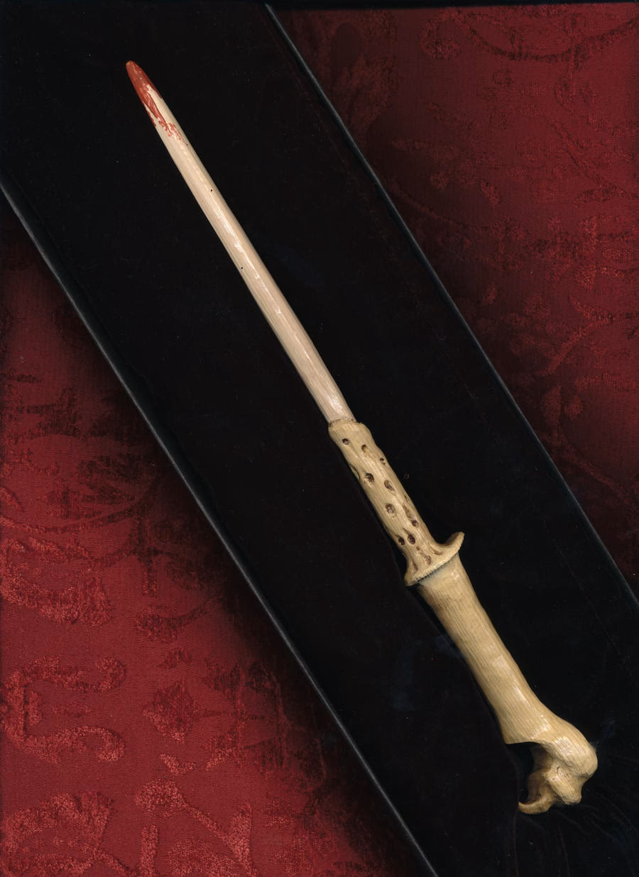 Did Harry Potter have a wand?