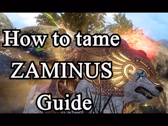 How do I tame zaminus?
