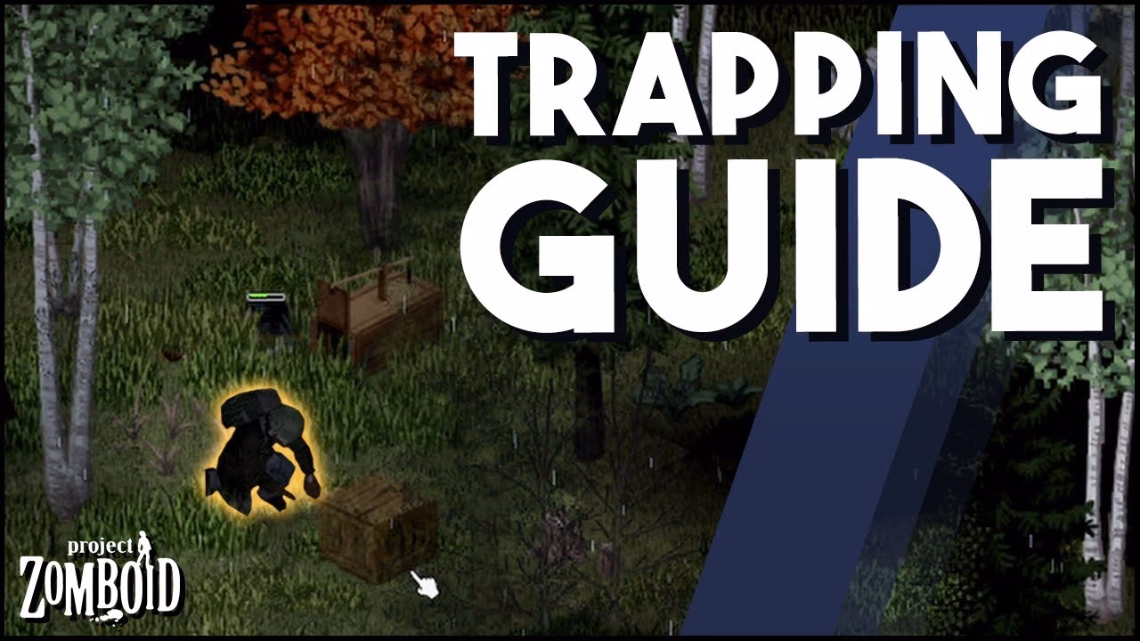 How do you get XP for trapping animals in Project Zomboid?